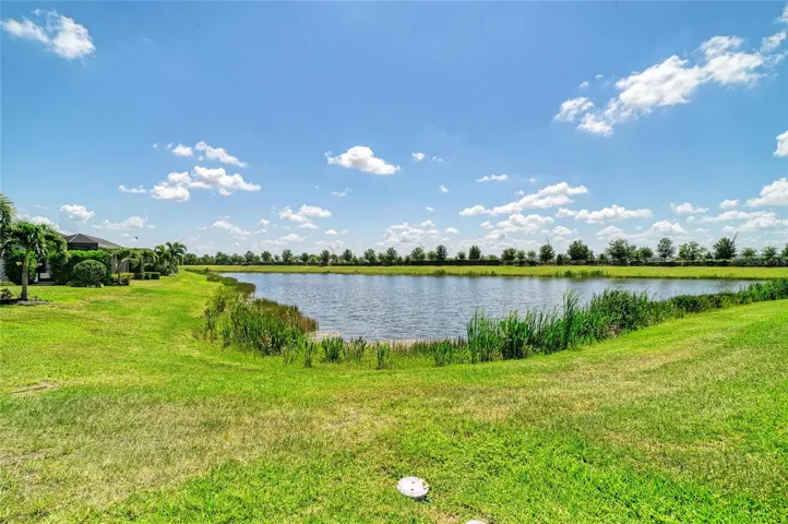 Pond View