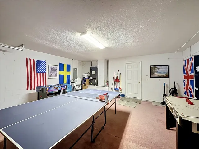 Garage/Game Room