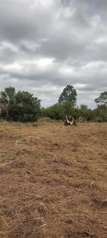 Recently cleared lot