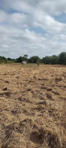 Recently cleared lot