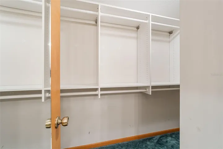 Primary ensuite with walk-in shower and walk-in closet with closet system