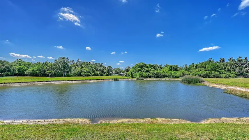 Pond view
