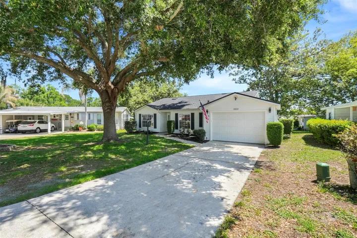 Driveway