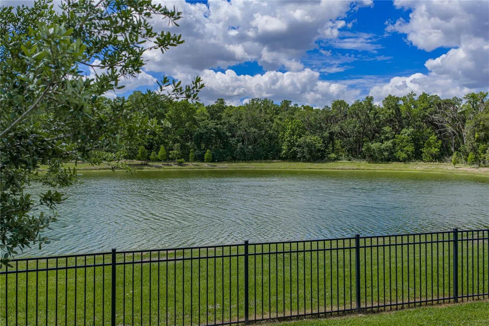1444 Cypress View Ln, Lakeland, Florida 33811 — photo 30