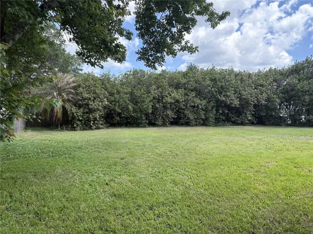 Back yard