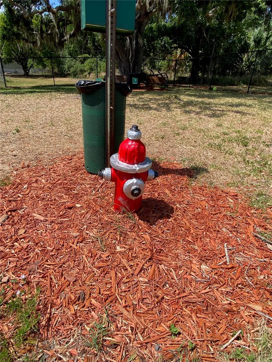 New Dog Park