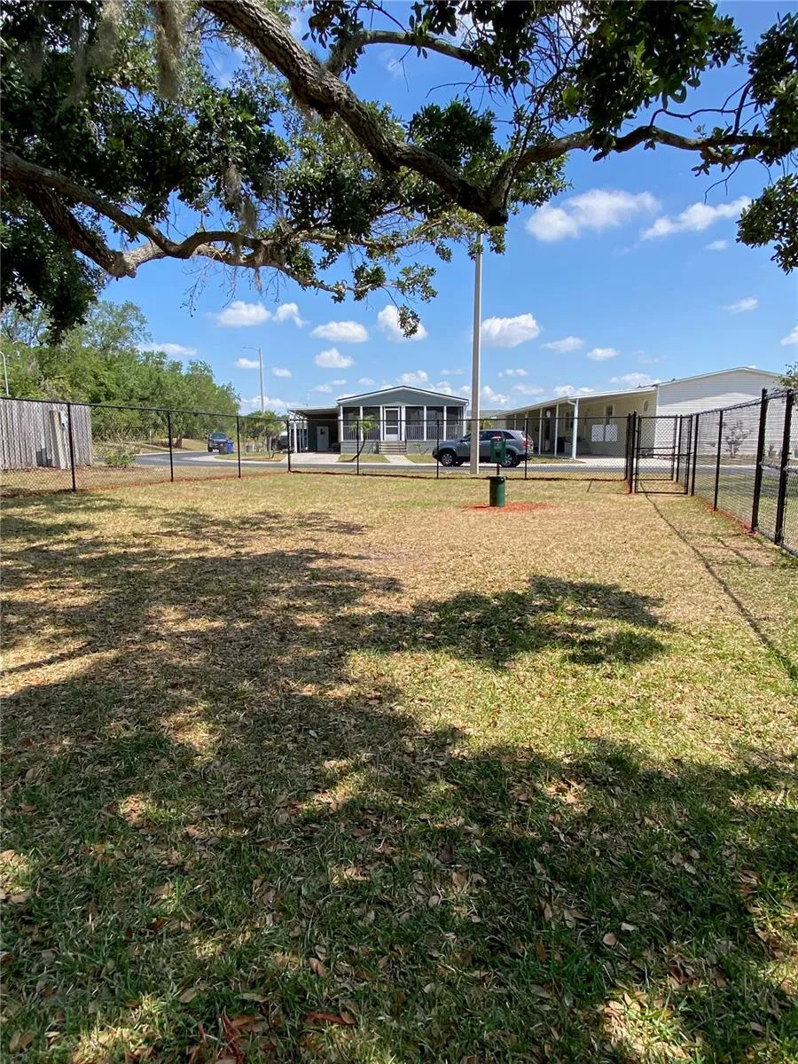 New Dog Park