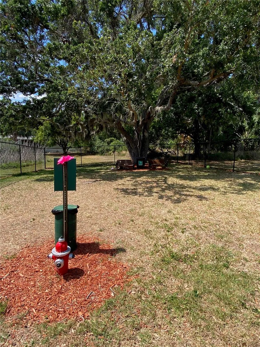 New Dog Park