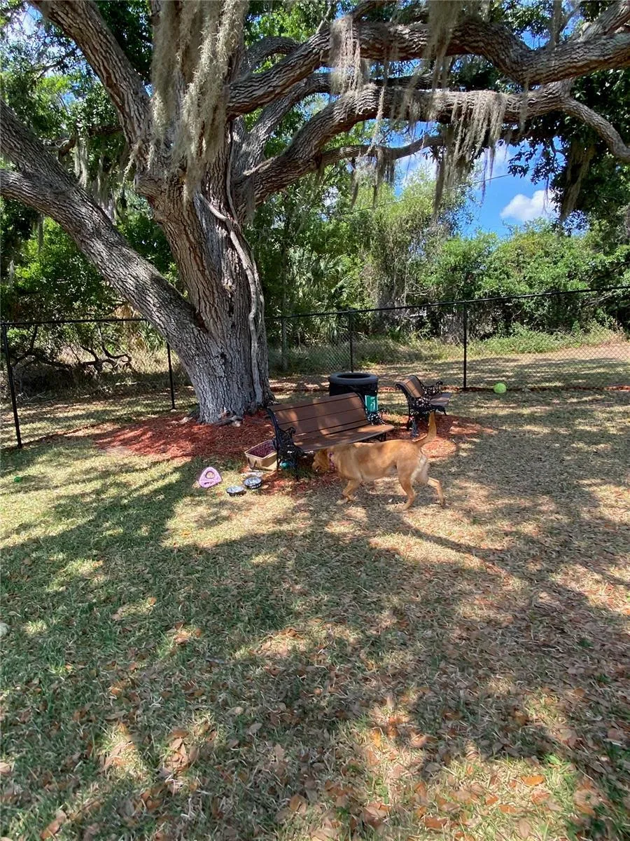 New Dog Park
