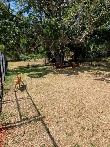 New Dog Park