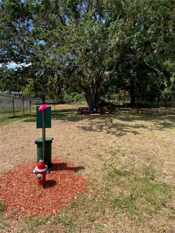 New Dog Park