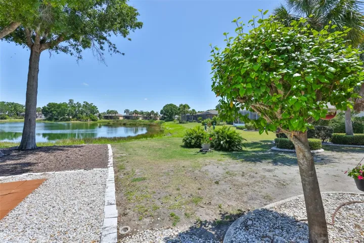 Backyard view