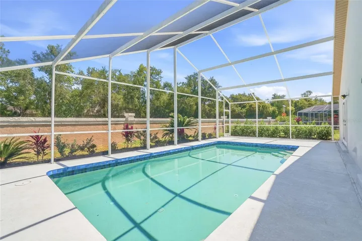 Sparkling Pool