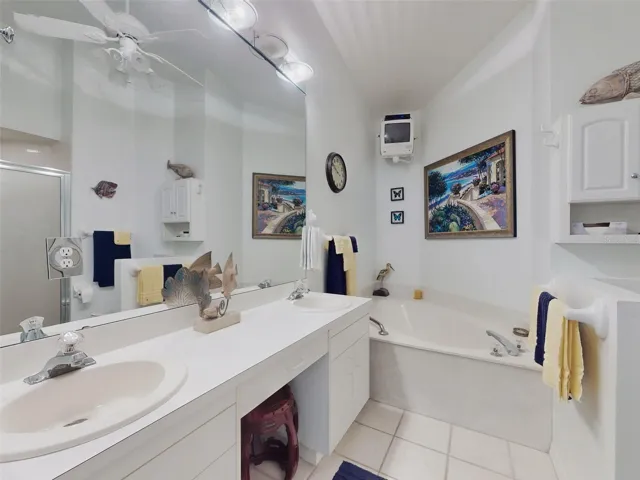 Master Bath and garden tub