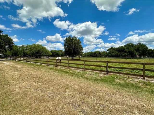 Horse pasture