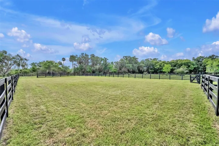 Left side paddock