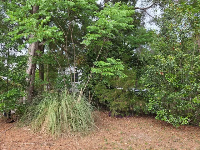 Side of house
