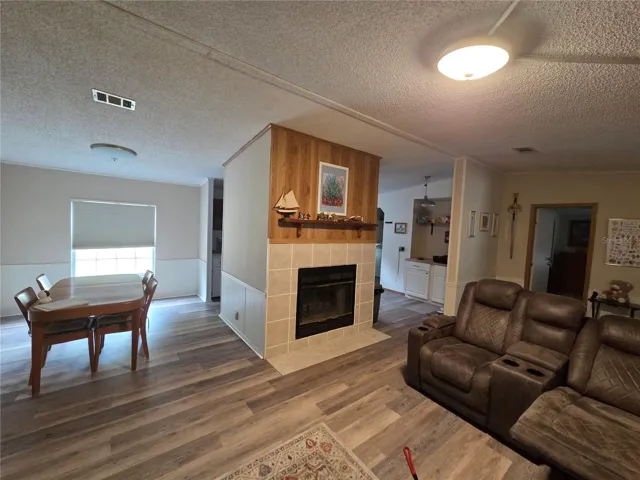 Fireplace in Living Room