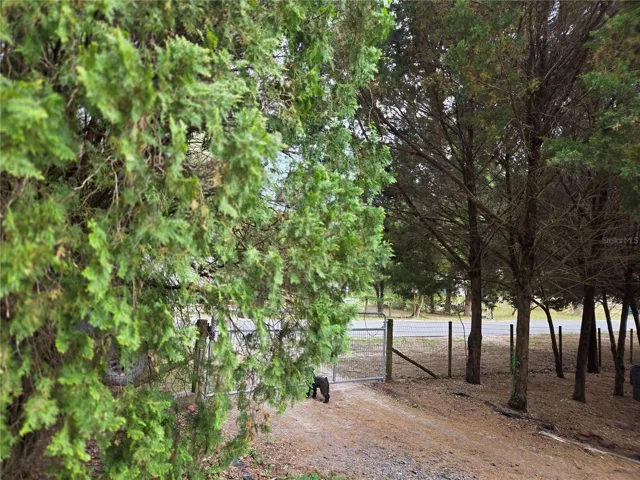 Front driveway with gate