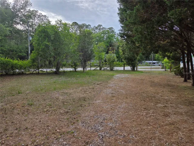 Back entrace with gate