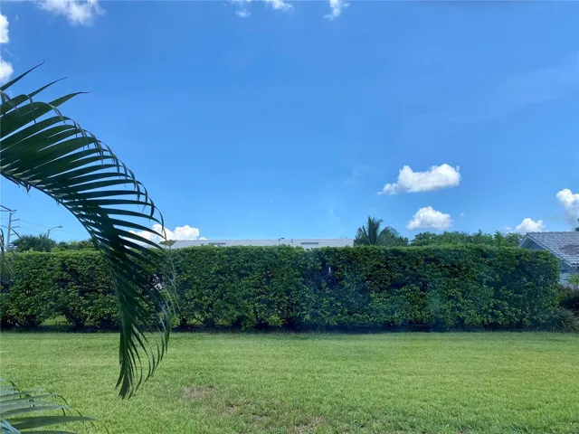 Large back yard