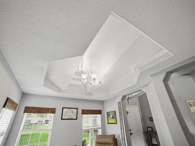 Dining Room Custom Ceiling