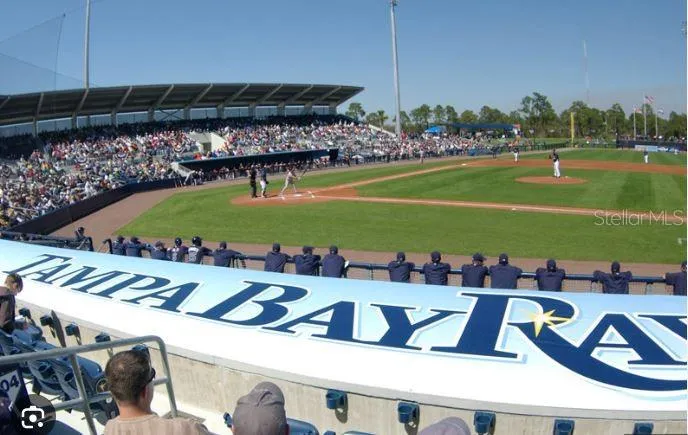 Rays