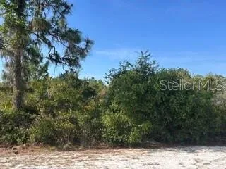 CAMELLIA ACRE