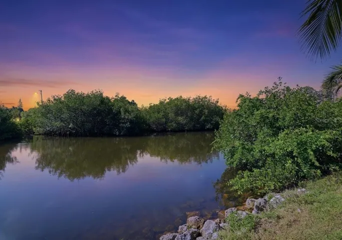 Twilight