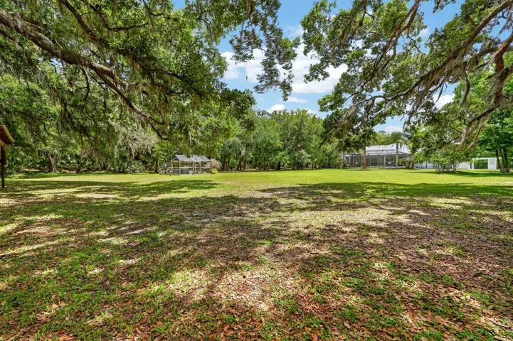 Wooded edge of yard