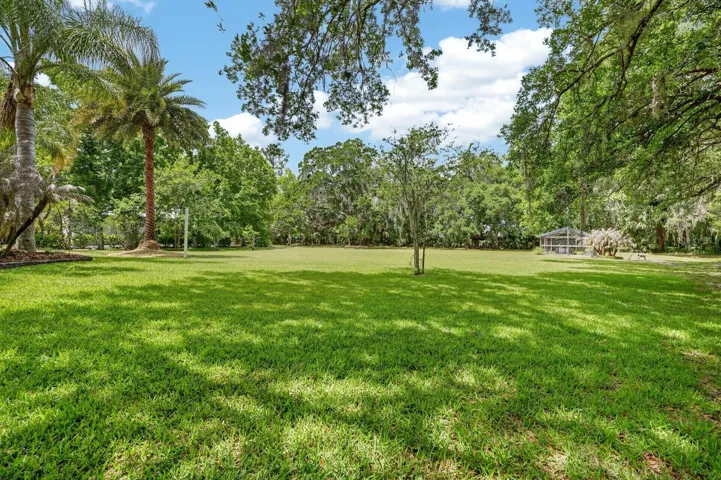 Back yard