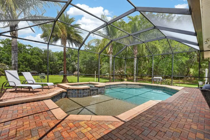 Pool with sun shelf/tanning ledge