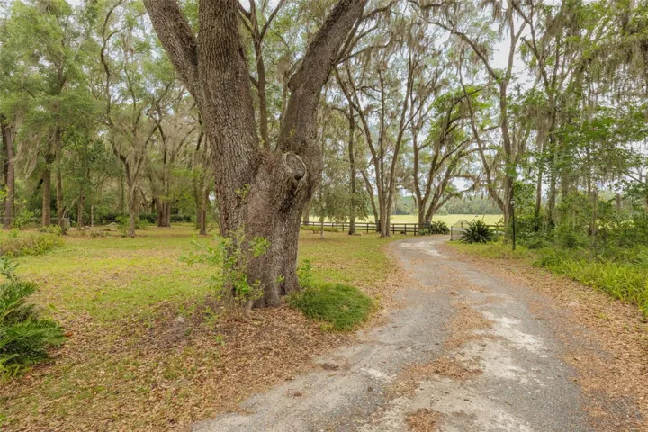 Gated Driveway