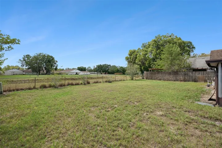 Large Backyard