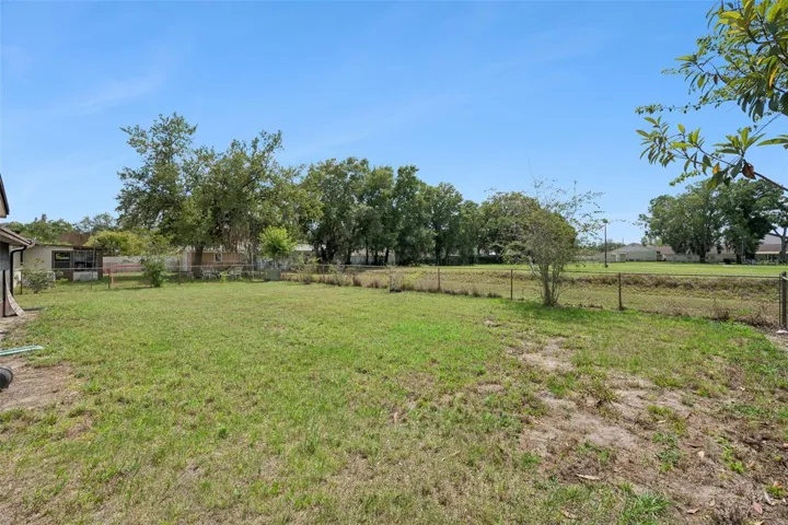 Large Backyard