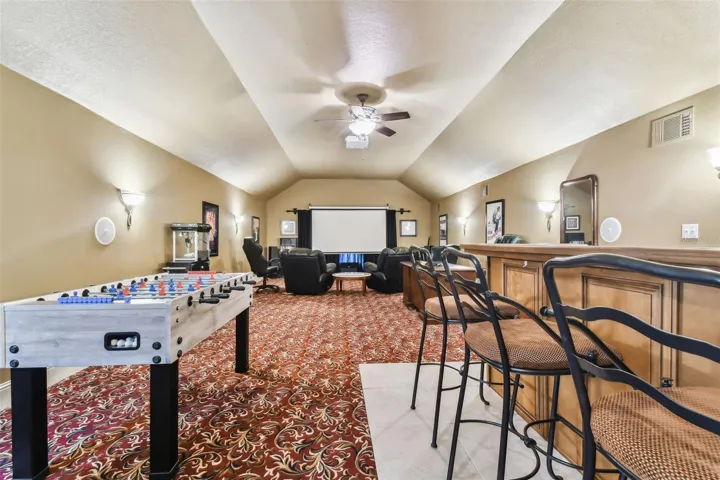 Entertainment Room