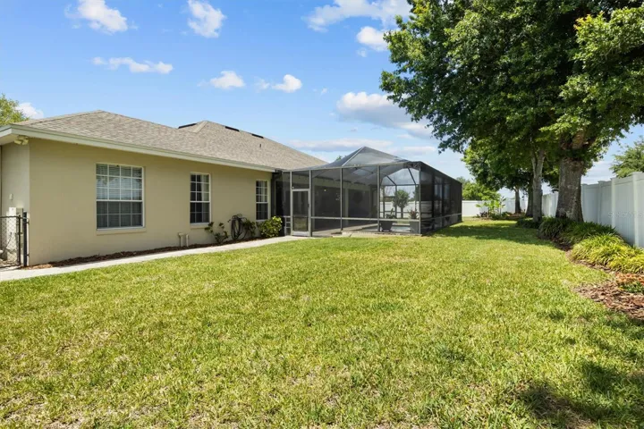 Backyard - exterior