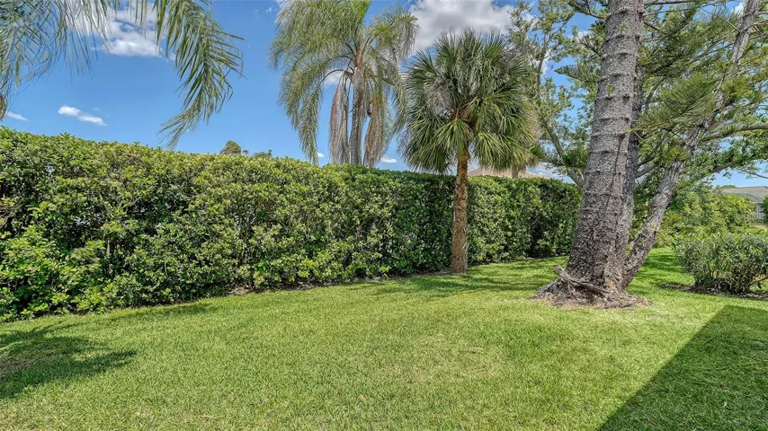Totally private backyard