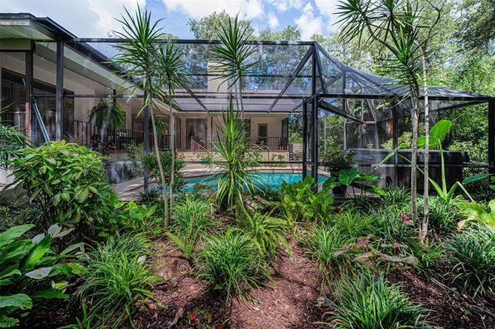 Backyard/Pool