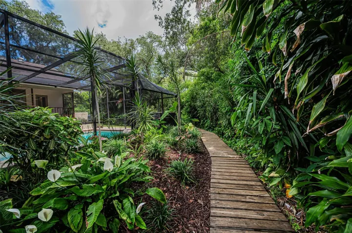 Backyard Bridge