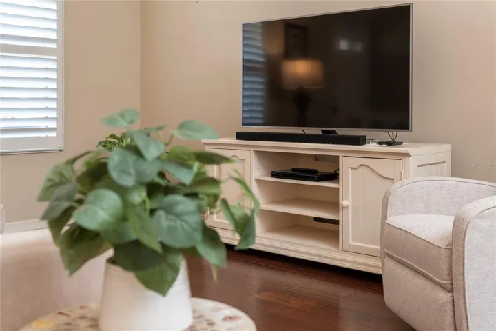 Living room seating and media area