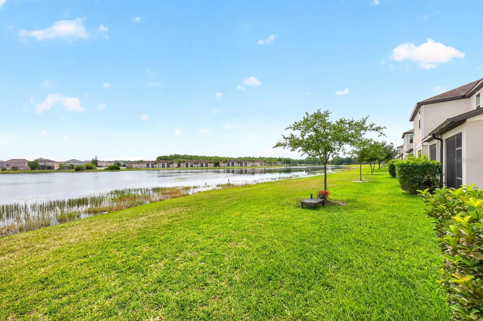 Pond Views.