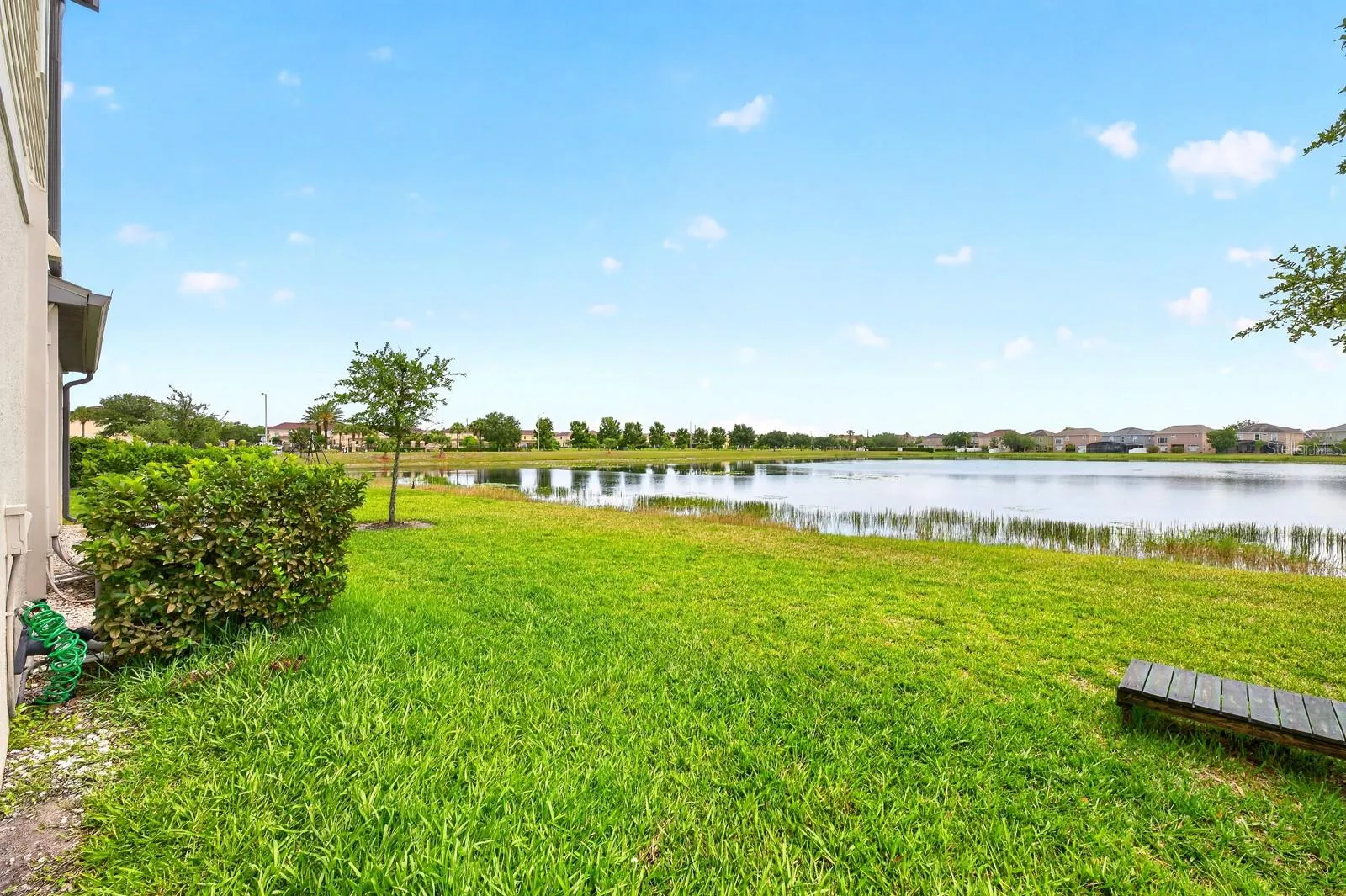 Pond Views.