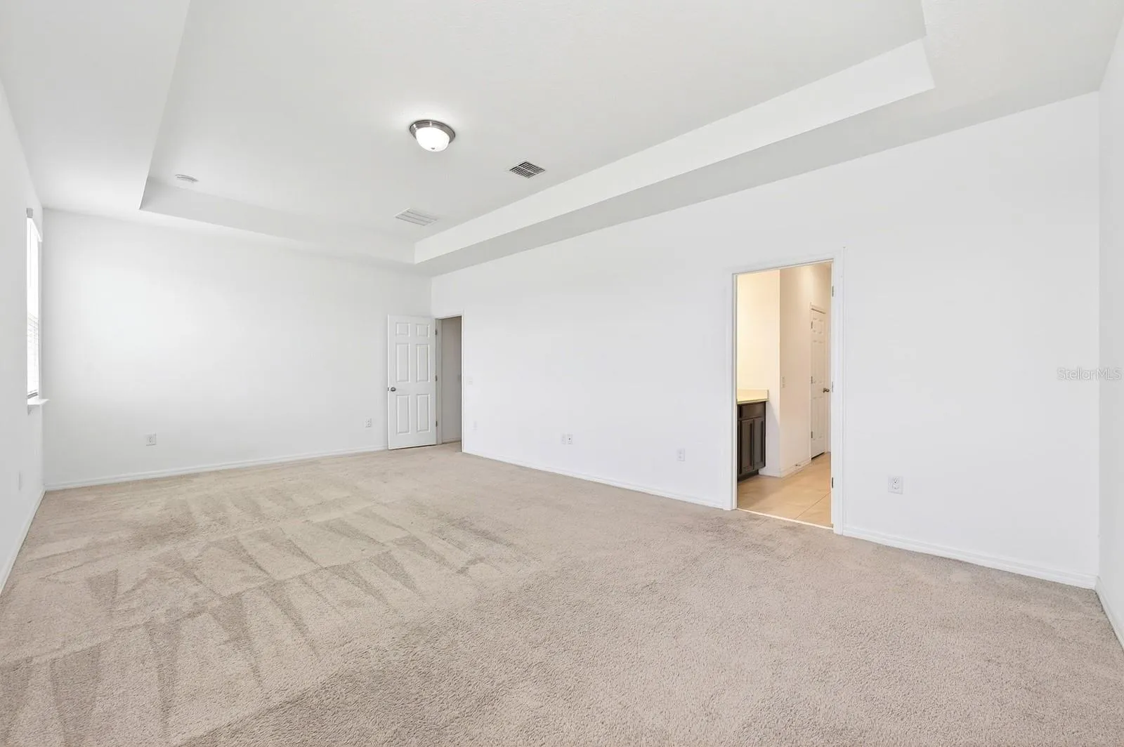 Generous primary suite features a tray ceiling, walk-in closet and private bath.