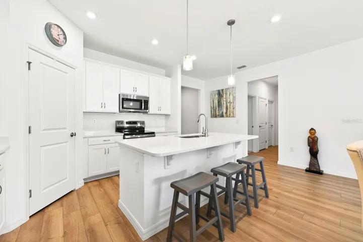 The kitchen has been curated for both everyday living and effortless entertaining, featuring a large ISLAND with bar seating and pendant lighting, STAINLESS STEEL APPLIANCES, sleek countertops, and a WALK-IN PANTRY for ample storage – all open to the living and dining spaces.