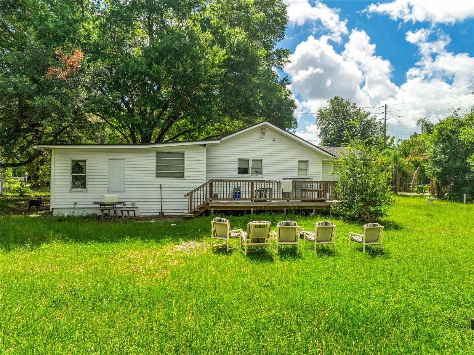 Backyard