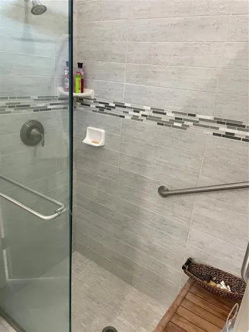 Primary Shower