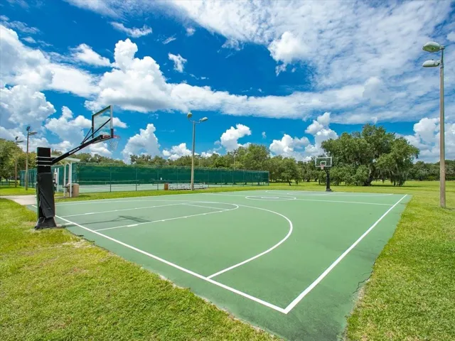 Basketball