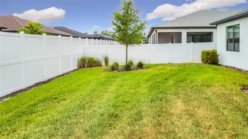 Rear yard