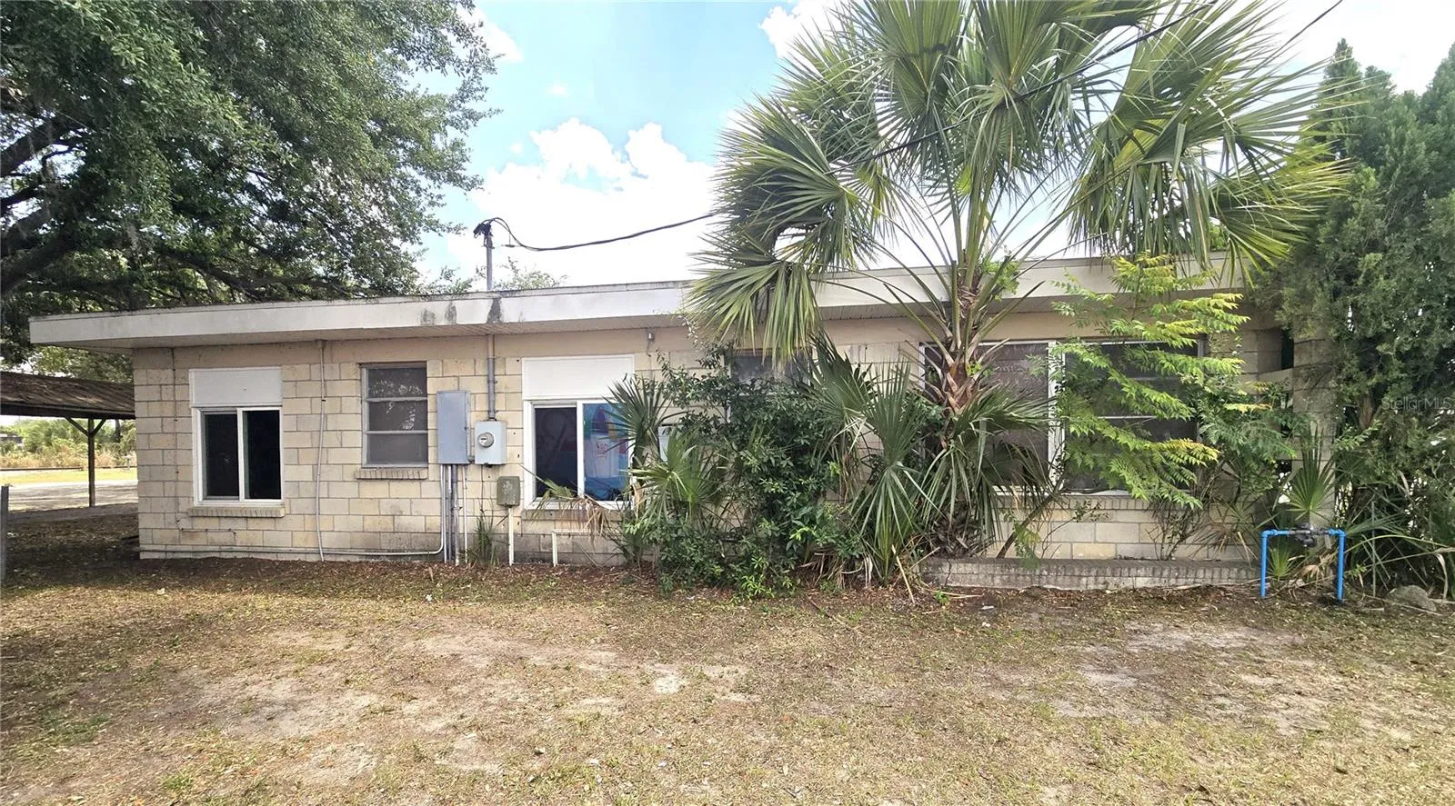 620 S Collins St, Plant City, Florida 33563 — photo 4
